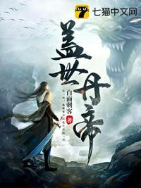 盖世丹帝白面刺客百度百科