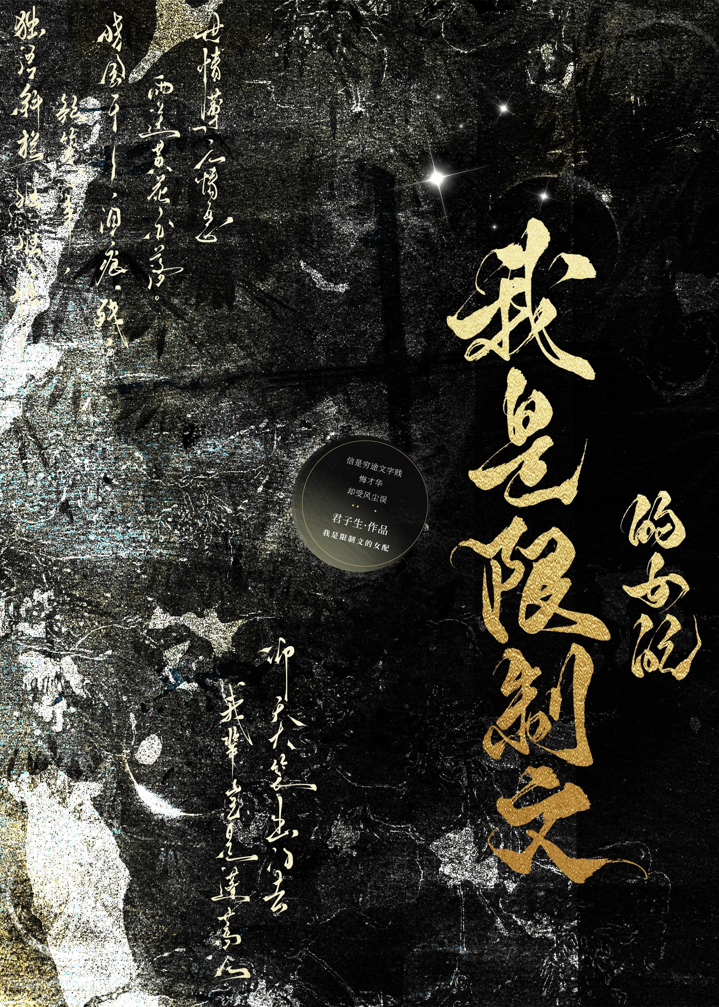 我是限制文的女配讲的什么