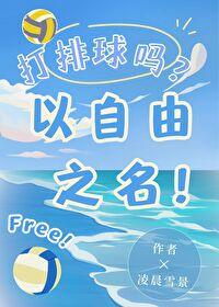 打排球吗以自由之名免费阅读全文