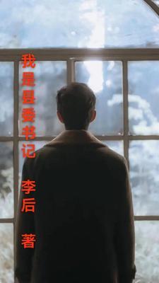 我是县委书记最后结局