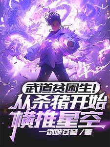 武道贫困生从杀猪开始横推星空精校版