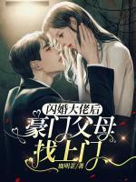 闪婚大佬后