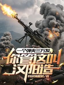 你管这叫汉阳造txt