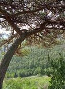 安家立业的意思和造句