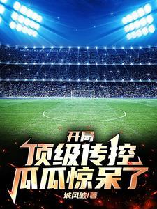 克罗地亚足协主席