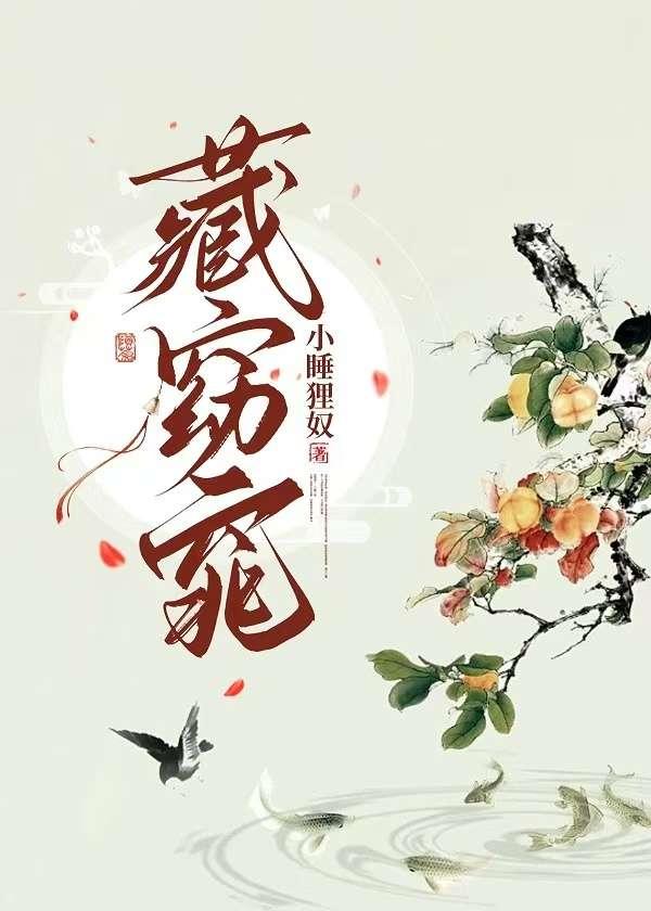 藏窈窕by小睡狸奴讲的什么