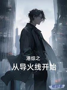 港综之警队话事人作者暗影拳