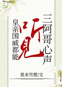 清穿皇子阿哥